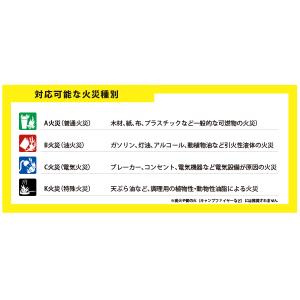 ELEMENT スティック型消火器 E50 サ...の詳細画像5