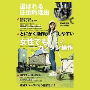 Mr.Nomads キャリーワゴン GS-KW...の詳細画像3