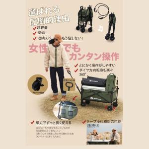 Mr.Nomads キャリーワゴン GS-KW...の詳細画像3