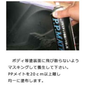 PPメイト 黒色専用プラスチック・ゴム面を復活...の詳細画像2