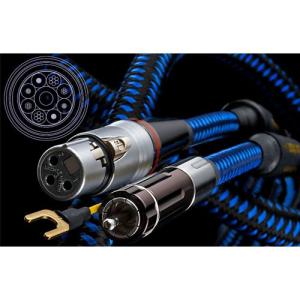 Zonotone 7NSP-Neo Grandio 07Hi 105cm 2本 Zonotone ゾノトーン 7NSP-Neo Grandio 07Hi ハイエンド