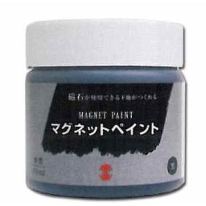 ターナー ターナー色彩 ターナーマグネットペイント 水性 500ml 