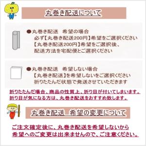 AR70002 【帆布 ラミネート】11号帆布...の詳細画像5