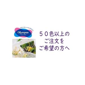 ◆50色以上のご注文をご希望の方へ◆【オリムパスOLYMPUS】刺しゅう糸　25＃　25番【C3-8-122-6】｜avail-komadori