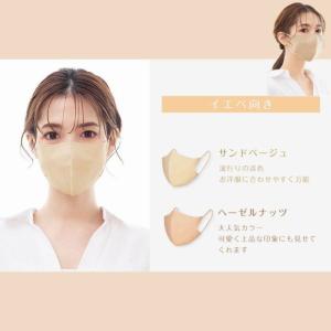マスク 不織布 立体 訳あり 女性 3d 小顔...の詳細画像3