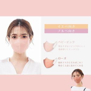 マスク 不織布 立体 訳あり 女性 3d 小顔...の詳細画像4