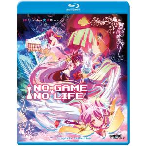 スレイヤーズ REVOLUTION/EVOLUTION-R 廉価版 DVD 全13話+全13話 650分