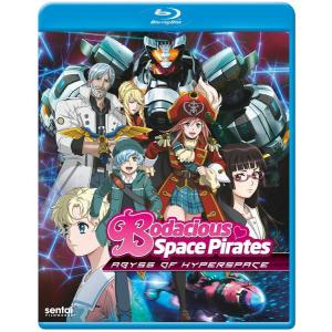 スレイヤーズ REVOLUTION/EVOLUTION-R 廉価版 DVD 全13話+全13話 650分