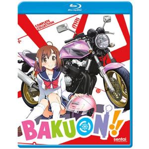 スレイヤーズ REVOLUTION/EVOLUTION-R 廉価版 DVD 全13話+全13話 650分