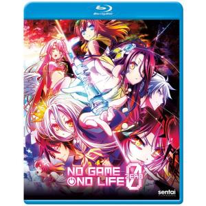 スレイヤーズ REVOLUTION/EVOLUTION-R 廉価版 DVD 全13話+全13話 650分