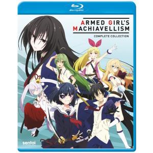 スレイヤーズ REVOLUTION/EVOLUTION-R 廉価版 DVD 全13話+全13話 650分