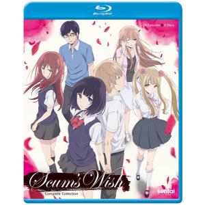 スレイヤーズ REVOLUTION/EVOLUTION-R 廉価版 DVD 全13話+全13話 650分