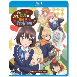 スレイヤーズ REVOLUTION/EVOLUTION-R 廉価版 DVD 全13話+全13話 650分