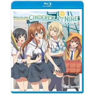 ニニンがシノブ伝 BD 全12話 320分収録 北米版 : 輸入アニメ専門店