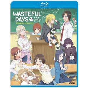 スレイヤーズ REVOLUTION/EVOLUTION-R 廉価版 DVD 全13話+全13話 650分