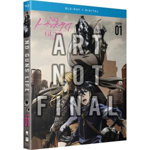 スレイヤーズ REVOLUTION/EVOLUTION-R 廉価版 DVD 全13話+全13話 650分