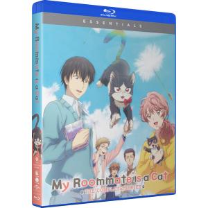 見える子ちゃん BD+DVD 全12話 300分収録 北米版 : 輸入アニメ専門店