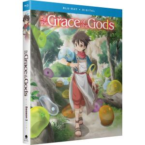 生徒会の一存 第2期 Lv.2 BD 全10話 + OVA 275分収録 北米版 : 輸入