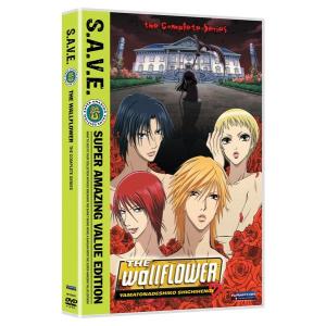 スレイヤーズ REVOLUTION/EVOLUTION-R 廉価版 DVD 全13話+全13話 650分