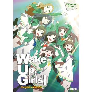 スレイヤーズ REVOLUTION/EVOLUTION-R 廉価版 DVD 全13話+全13話 650分