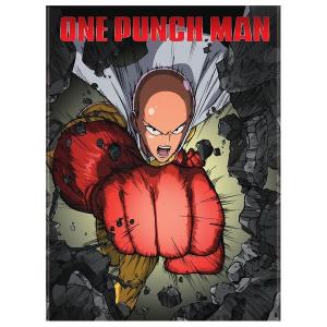 新品ケース交換済み　「ワンパンマン」第2期　DVD全6巻セット 新品ケース交換済み 「ワンパンマン」第2期 DVD全6巻セット