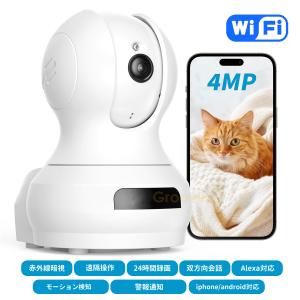 AXIS COMMUNICATIONS AXIS ネットワークカメラ M1065-LW【送料