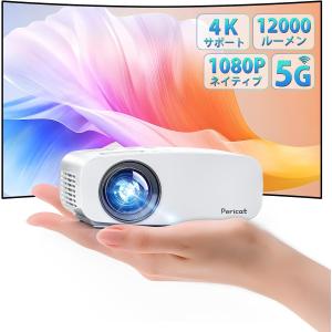 即日発送】【新品】DMM.make プロジェクター LEDシーリングライト