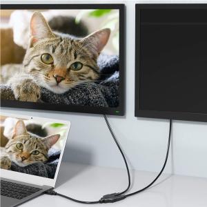 HDMI 分岐ケーブル HDMI分配器 分配ケ...の詳細画像2