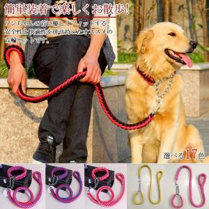 リードと首輪セット 首輪セット リードセット 首輪 2点セット 小型犬 中型犬 大型犬 犬 首輪 犬用 リード 散歩 お出かけ ドック用品 ドッググッ