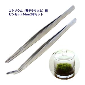 AVILMORE 苔栽培 苔リウム 多肉植物 テラリウム用 精密 ピンセット 16cm 2種類（ストレート・カーブ）セット｜AVIL