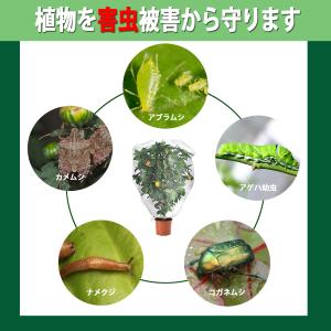 防虫ネット メッシュ巾着式 植物保護カバー 防...の詳細画像1