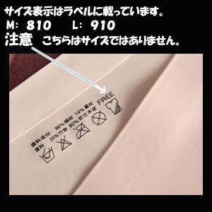 シームレスショーツ 3枚 セット ショーツレデ...の詳細画像1