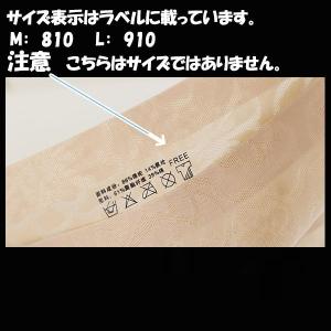 シームレスショーツ ショーツ レディース パン...の詳細画像3