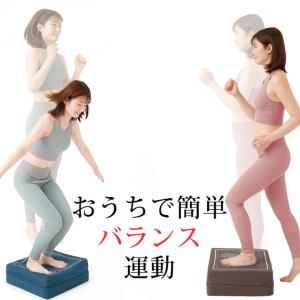 体幹ぴょんぴょん ホップステッパー Z1596 体幹 ステッパー