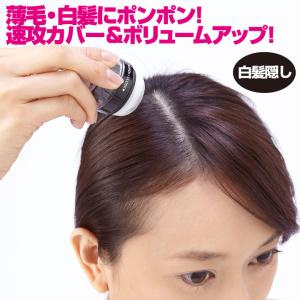 即納☆ ふんわりヘアカラー シルバー 極 [Z3291] グレーヘア