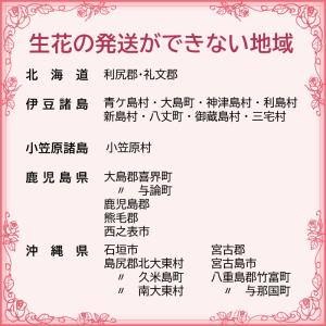 お供え 生花のしきみ しきび はなしば1束 法...の詳細画像1