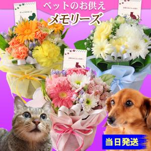 ペット 手元供養 花 虹の橋 お別れ カード お供えギフト アレンジメント 小さめ 長持ち剤入り 選べるカラー メモリーズ