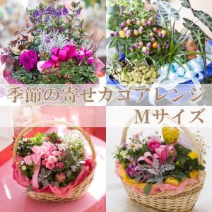 季節のお花 おまかせフラワーバスケット Mサイズ  誕生日プレゼント 結婚記念日 結婚祝い 贈り物 お祝い 寄せ鉢