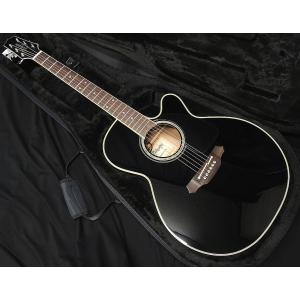Takamine コンタクトPU増設済 Takamine DMP551C WR タカミネ ワイン