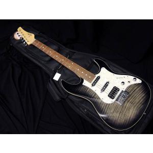 FUJIGEN（フジゲン） FGN FUJIGEN NLS110RMP AG Gold レスポール