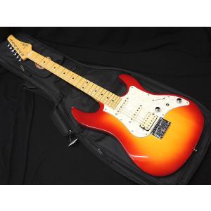 FUJIGEN（フジゲン） FGN FUJIGEN NTE100MAH SBB テレキャスター