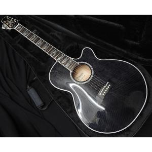 Takamine Takamine LTD2025 AEG Antique Evergreen タカミネ エレアコ