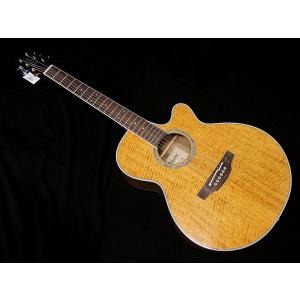 Takamine Takamine PTU131KC N KOA ハワイアンコア タカミネ