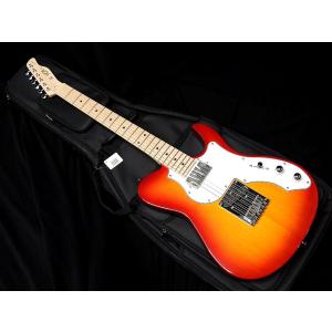 FUJIGEN（フジゲン） FGN FUJIGEN NLS110RMP AG Gold レスポール