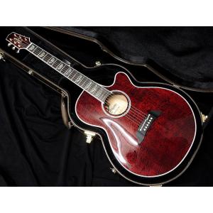 Takamine Takamine LTD2025 AEG Antique Evergreen タカミネ エレアコ