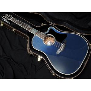 Takamine Takamine LTD2025 AEG Antique Evergreen タカミネ エレアコ