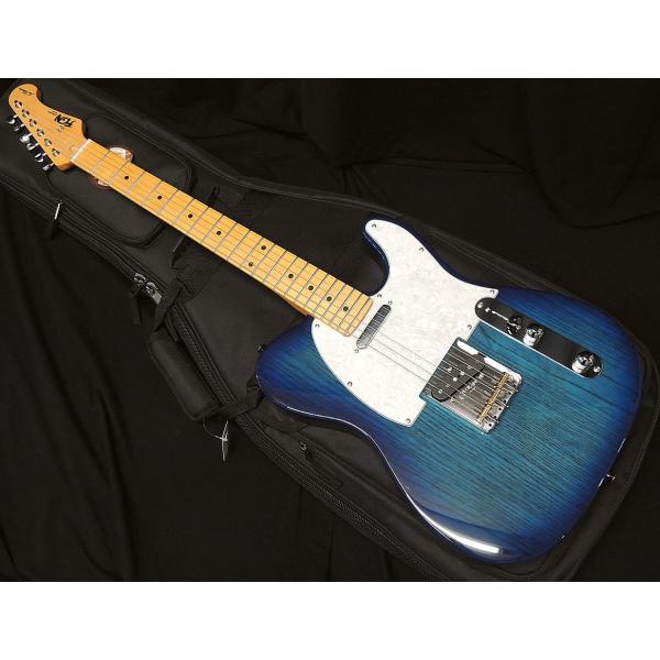 FGN FUJIGEN NTE100MAH SBB フジゲン テレキャスター タイプ シースルー ブ...