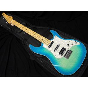 FUJIGEN（フジゲン） FGN FUJIGEN NTE100MAH SBB テレキャスター