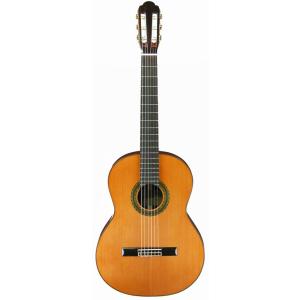 ARIA A-100C アリア オール単板 クラシックギター ガットギター セダー ローズウッド 送...