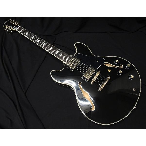 Sire Larry Carlton H7 BK サイアー ラリーカールトン セミアコタイプ エレキ...